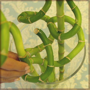 Home Decor and Handicraft: Place 2 Stems into Grid