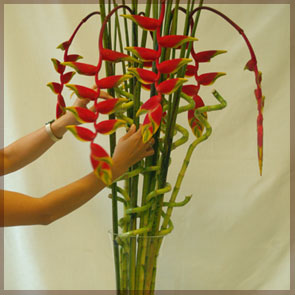 Home Decor and Handicraft: Heliconias Placed into Grid